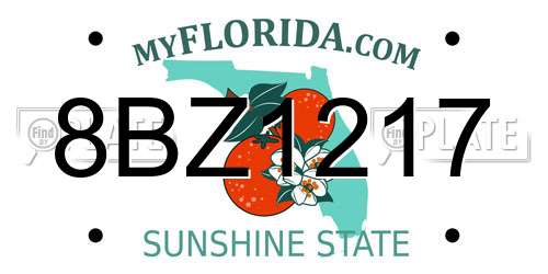 8BZ1217 Florida License Plate