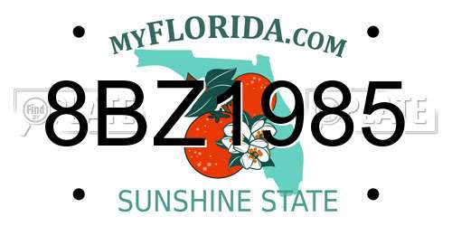 8BZ1985 Florida License Plate