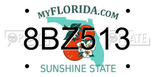 8BZ513 Florida License Plate