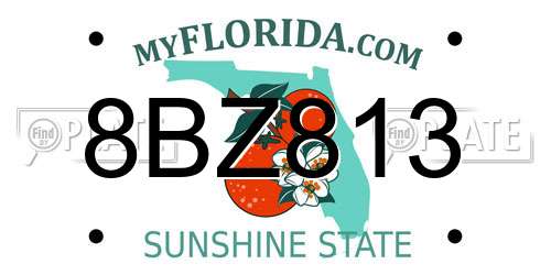 8BZ813 Florida License Plate
