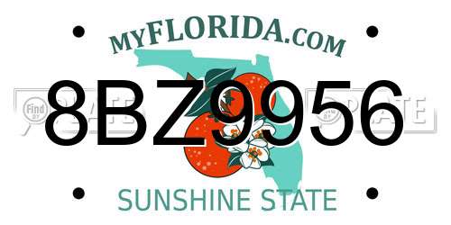 8BZ9956 Florida License Plate
