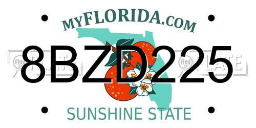 8BZD225 Florida License Plate