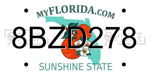 8BZD278 Florida License Plate
