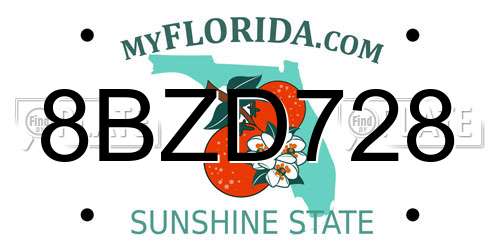 8BZD728 Florida License Plate