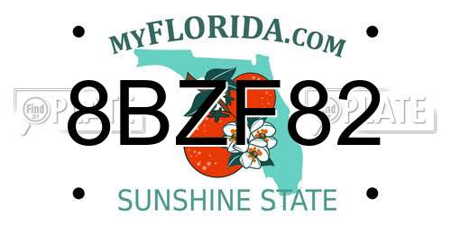 8BZF82 Florida License Plate
