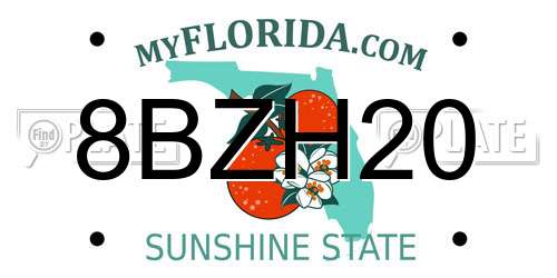 8BZH20 Florida License Plate