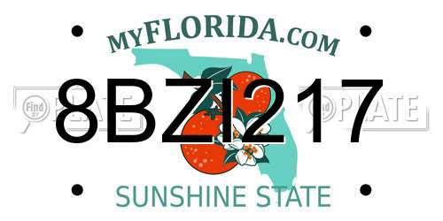 8BZI217 Florida License Plate