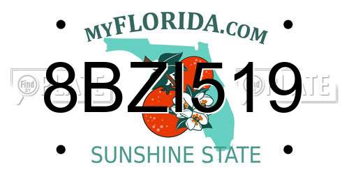 8BZI519 Florida License Plate