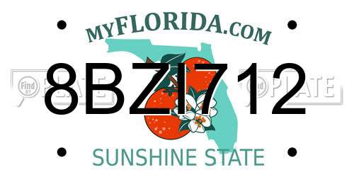 8BZI712 Florida License Plate