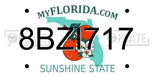 8BZI717 Florida License Plate