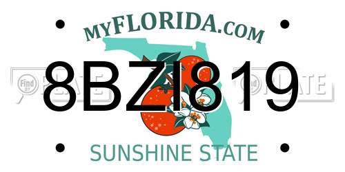 8BZI819 Florida License Plate