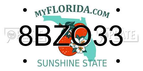 8BZO33 Florida License Plate