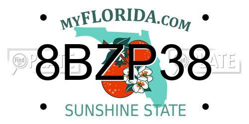 8BZP38 Florida License Plate