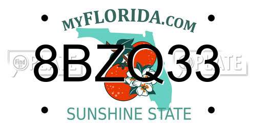 8BZQ33 Florida License Plate