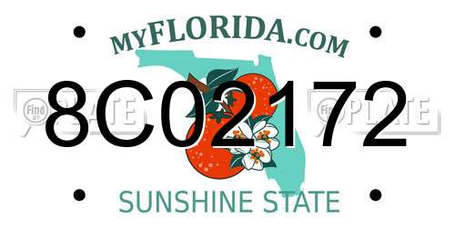 8C02172 Florida License Plate