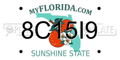 8C15I9 Florida License Plate