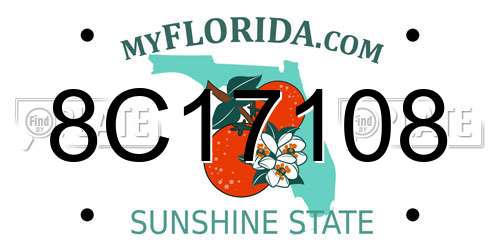 8C17108 Florida License Plate