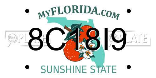 8C18I9 Florida License Plate