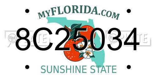 8C25034 Florida License Plate