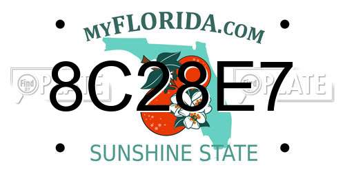 8C28E7 Florida License Plate