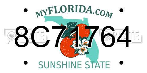 8C71764 Florida License Plate