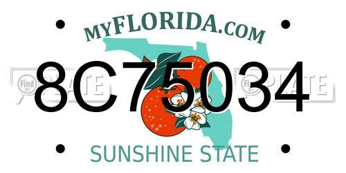 8C75034 Florida License Plate