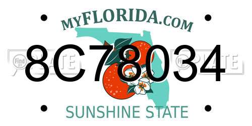8C78034 Florida License Plate