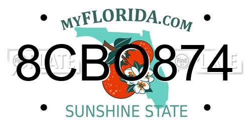 8CBO874 Florida License Plate