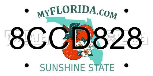 8CCD828 Florida License Plate