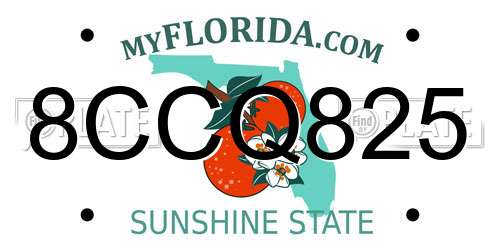 8CCQ825 Florida License Plate
