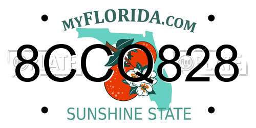 8CCQ828 Florida License Plate