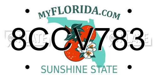 8CCV783 Florida License Plate