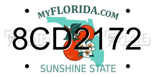 8CD2172 Florida License Plate