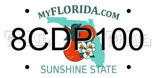8CDP100 Florida License Plate