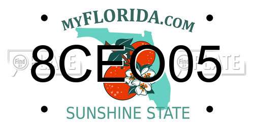 8CEO05 Florida License Plate