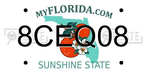 8CEQ08 Florida License Plate