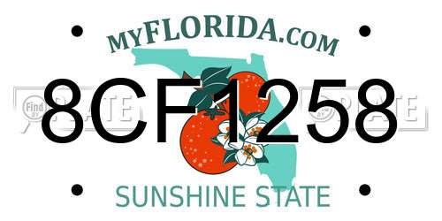 8CF1258 Florida License Plate