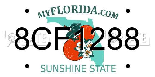 8CF1288 Florida License Plate