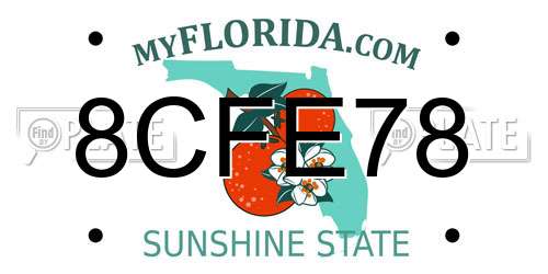 8CFE78 Florida License Plate