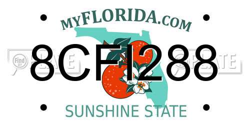 8CFI288 Florida License Plate