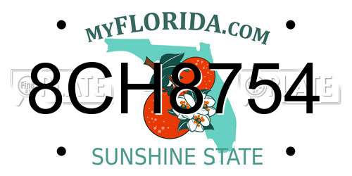 8CH8754 Florida License Plate