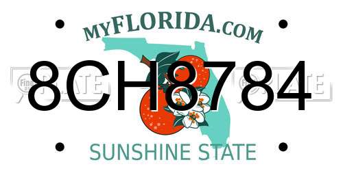 8CH8784 Florida License Plate