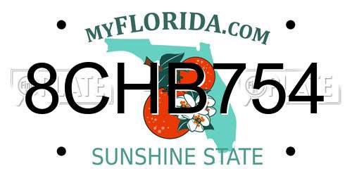 8CHB754 Florida License Plate