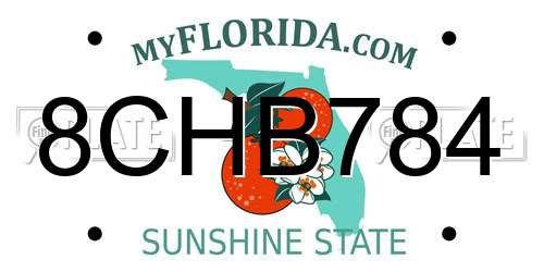 8CHB784 Florida License Plate