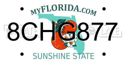 8CHG877 Florida License Plate