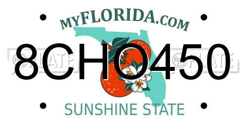 8CHO450 Florida License Plate