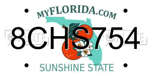 8CHS754 Florida License Plate