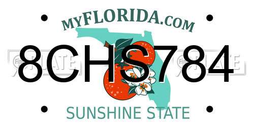 8CHS784 Florida License Plate