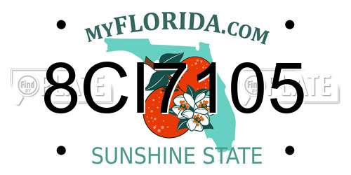 8CI7105 Florida License Plate
