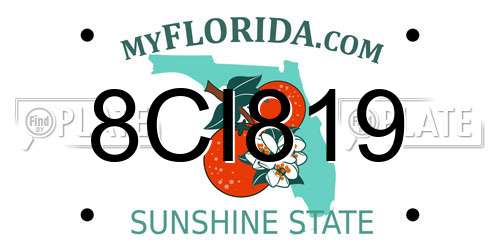 8CI819 Florida License Plate